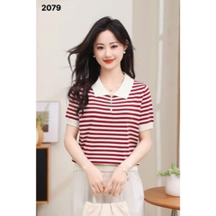 2079 A. Polo len sọc 00225