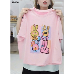 18456 A.thun 4 Tho- 00297