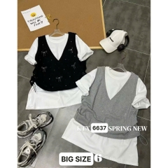 6637 - A.OVS BC 00297