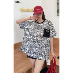 18464 A.chữ túi 00288