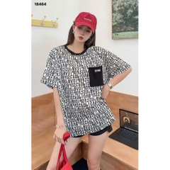 18464 A.chữ túi 00288