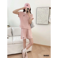 18465 Ss.polo logo G- 00450