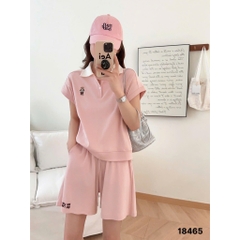 18465 Ss.polo logo G- 00450