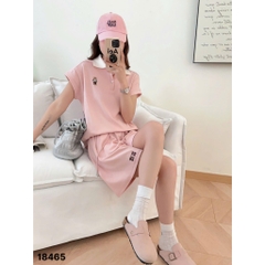 18465 Ss.polo logo G- 00450