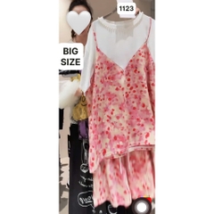 1123 Ss.2d Bi Bi 00304