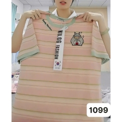 1099 A.Sọc Meo- Candy 00288