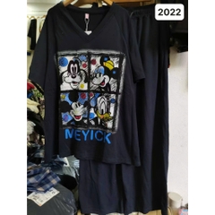 S-0020-2022 SD.cổ tim 4 ô Micky 00312