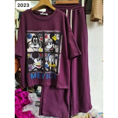 S-0020-2023 SD.4 ô Micky 00312