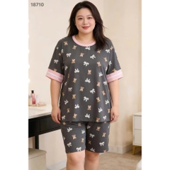 S-0020--18710- SS. Nơ- 00399