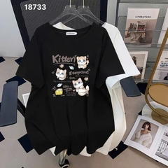 S-0020--18733- A.Meo- 00296