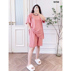 S-0020--18749- SS.Sọc 00398 - CAM