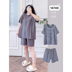 S-0020--18749- SS.Sọc 00398 XÁM