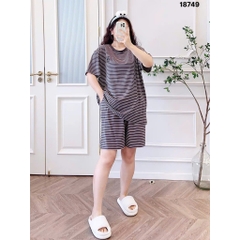 S-0020--18749- SS.Sọc 00398 XÁM