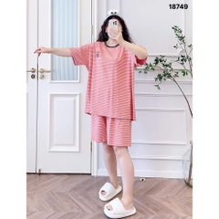 S-0020--18749- SS.Sọc 00398 - CAM