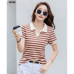 S-0030--18756 A.Polo sọc 00252 - CAM