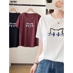 S-0020--18760- A.Meo- 00256