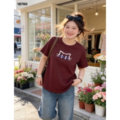 S-0020--18760- A.Meo- 00256