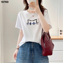 S-0020--18760- A.Meo- 00256