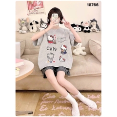 S-0020--18766- SS.Kity 00320