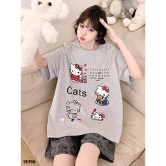 S-0020--18766- SS.Kity 00320