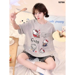 S-0020--18766- SS.Kity 00320