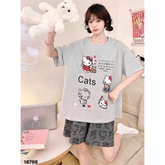 S-0020--18766- SS.Kity 00320