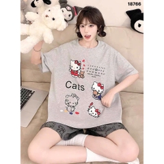 S-0020--18766- SS.Kity 00320