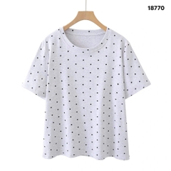 S-0020--18770- A.Bi 00256 Xám