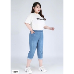 S-0020--18811- Q.Lửng Jean 00360