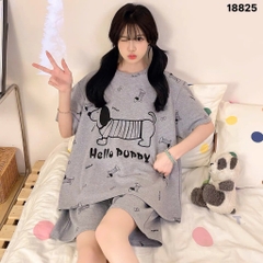 S-0020--18825- SS.Hello 00188