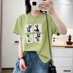 S-0030--18839- A 4 Meo- 00231