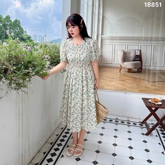 S-0020--18851- D.Nhúng 00428