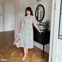 S-0020--18851- D.Nhúng 00428