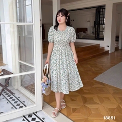 S-0020--18851- D.Nhúng 00428