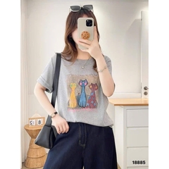 S-20--18885- A.3 Meo- 00260