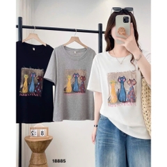 S-20--18885- A.3 Meo- 00260