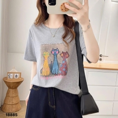 S-20--18885- A.3 Meo- 00260