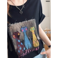 S-20--18885- A.3 Meo- 00260