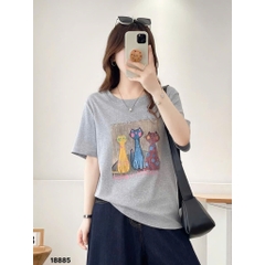 S-20--18885- A.3 Meo- 00260