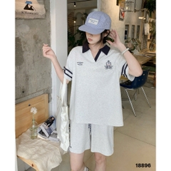 S-20--18896- SS.polo cổ V Coll 00492