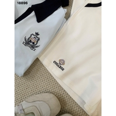 S-20--18896- SS.polo cổ V Coll 00492