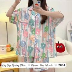 S-30--2084- ss.Pi G-Sọc 00217