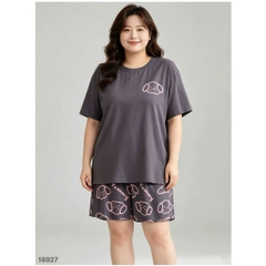 S-20--18927- ss.Cho- 00420