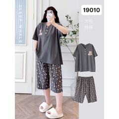 S-25--19010-SL tim 00450