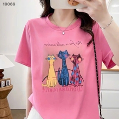 S-30--19066- Ao4. 3 Meo- 00252