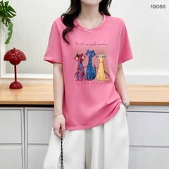S-30--19066- Ao4. 3 Meo- 00252