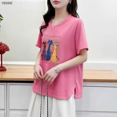 S-30--19066- Ao4. 3 Meo- 00252
