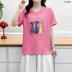 S-30--19066- Ao4. 3 Meo- 00252