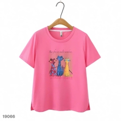 S-30--19066- Ao4. 3 Meo- 00252