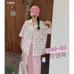 11803- Sm.dài Cho- 00270